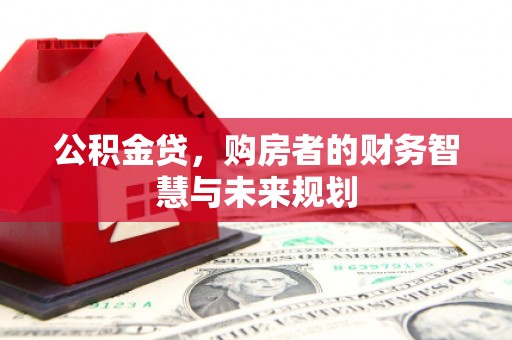 新店公积金贷，购房者的财务智慧与未来规划