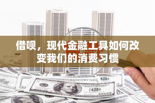 新店借呗，现代金融工具如何改变我们的消费习惯