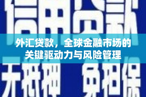 新店外汇贷款，全球金融市场的关键驱动力与风险管理