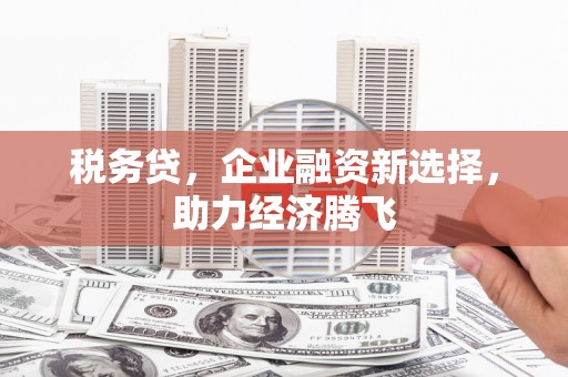 新店税务贷，企业融资新选择，助力经济腾飞