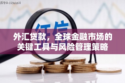 新店外汇贷款，全球金融市场的关键工具与风险管理策略
