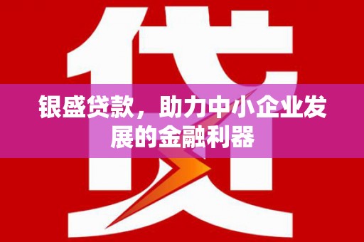 新店银盛贷款，助力中小企业发展的金融利器