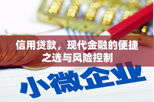 新店信用贷款，现代金融的便捷之选与风险控制
