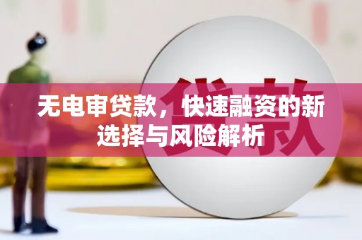 新店无电审贷款，快速融资的新选择与风险解析