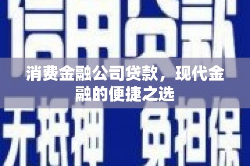 新店消费金融公司贷款，现代金融的便捷之选