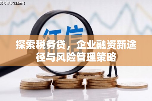 新店探索税务贷，企业融资新途径与风险管理策略