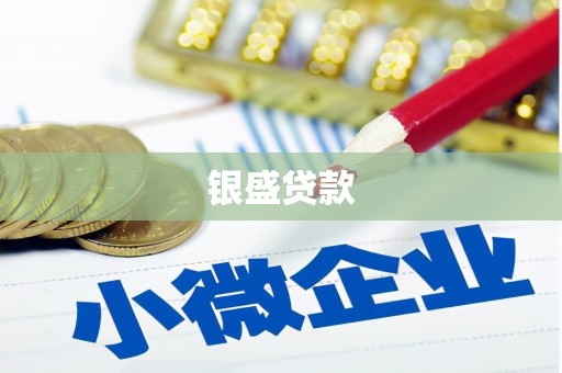 新店银盛贷款