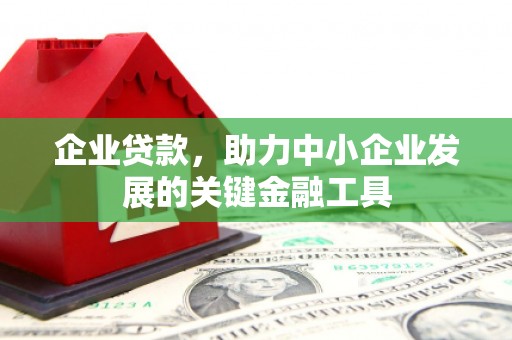 新店企业贷款，助力中小企业发展的关键金融工具