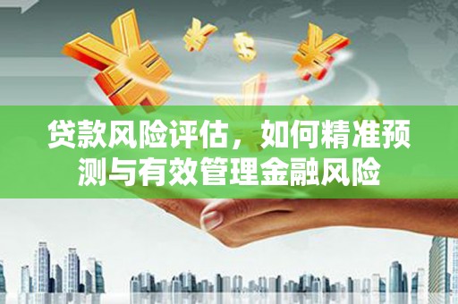 新店贷款风险评估，如何精准预测与有效管理金融风险