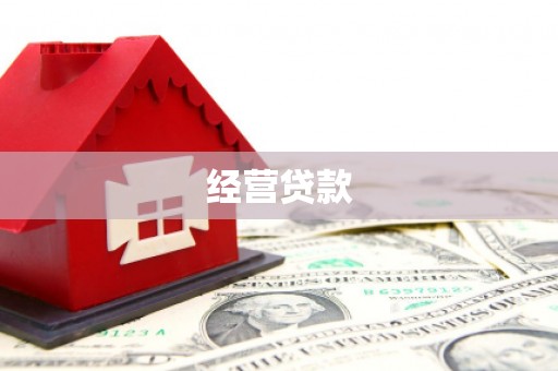 新店经营贷款