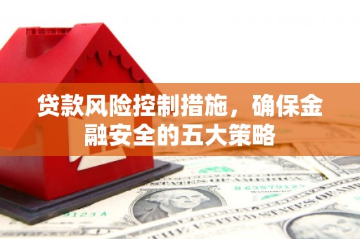 新店贷款风险控制措施，确保金融安全的五大策略