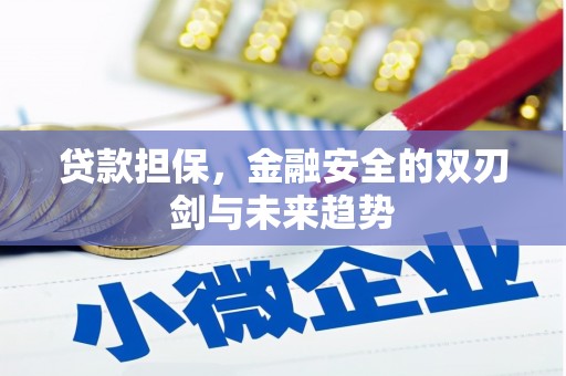 新店贷款担保，金融安全的双刃剑与未来趋势