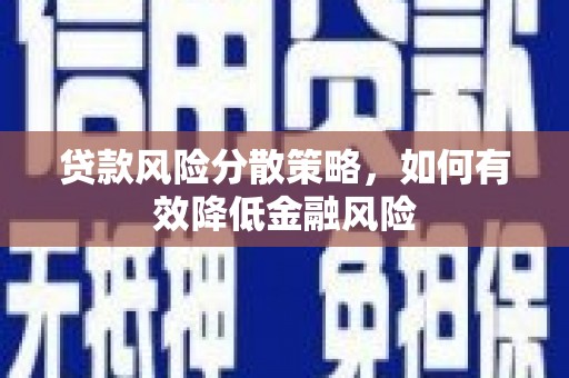 新店贷款风险分散策略，如何有效降低金融风险