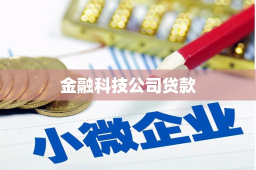 新店金融科技公司贷款