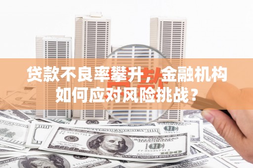新店贷款不良率攀升，金融机构如何应对风险挑战？
