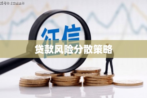 新店贷款风险分散策略