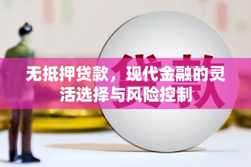 新店无抵押贷款，现代金融的灵活选择与风险控制