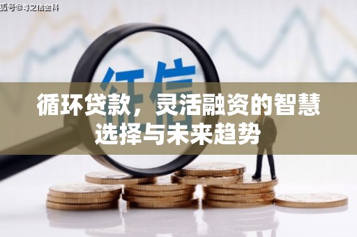 新店循环贷款，灵活融资的智慧选择与未来趋势