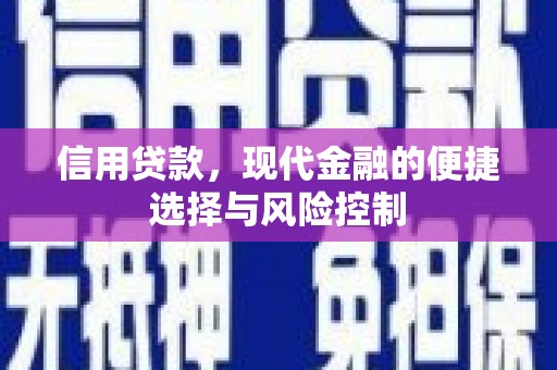新店信用贷款，现代金融的便捷选择与风险控制