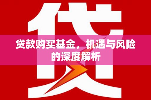 新店贷款购买基金，机遇与风险的深度解析