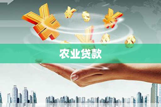 新店农业贷款