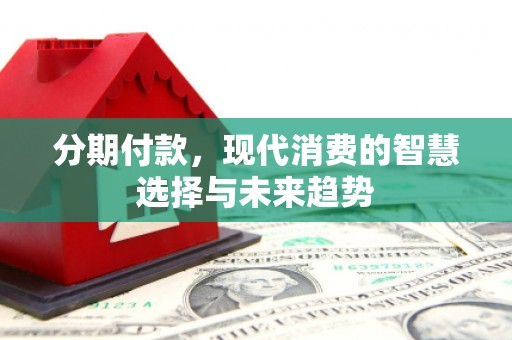新店分期付款，现代消费的智慧选择与未来趋势