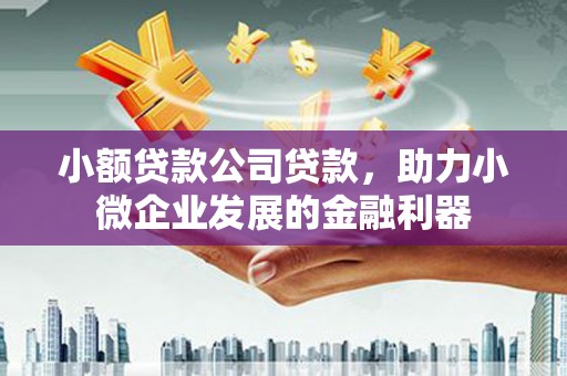 新店小额贷款公司贷款，助力小微企业发展的金融利器