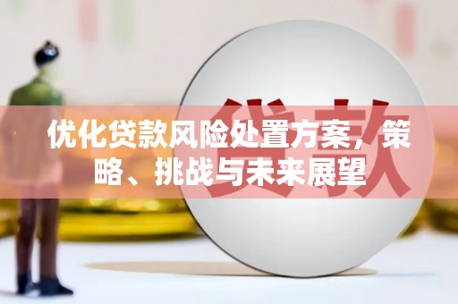 新店优化贷款风险处置方案，策略、挑战与未来展望