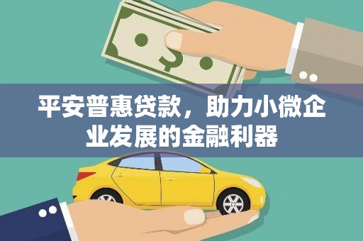 新店平安普惠贷款，助力小微企业发展的金融利器