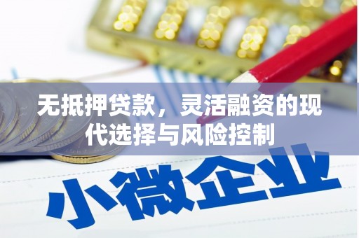 新店无抵押贷款，灵活融资的现代选择与风险控制