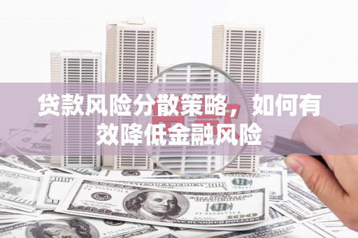 新店贷款风险分散策略，如何有效降低金融风险