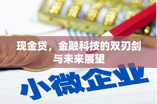 新店现金贷，金融科技的双刃剑与未来展望