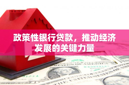 新店政策性银行贷款，推动经济发展的关键力量