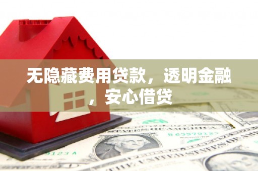 新店无隐藏费用贷款，透明金融，安心借贷