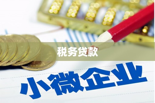 新店税务贷款