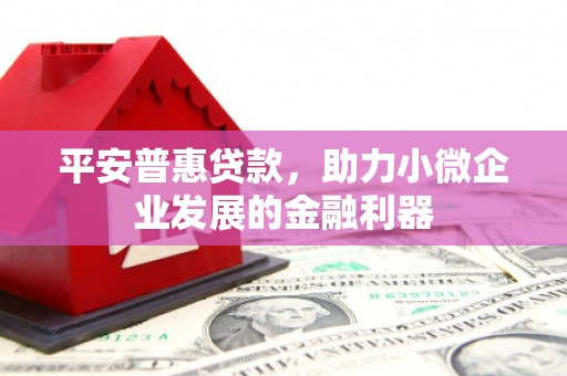 新店平安普惠贷款，助力小微企业发展的金融利器