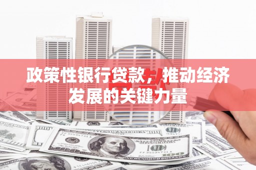 新店政策性银行贷款，推动经济发展的关键力量