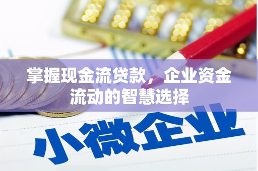 新店掌握现金流贷款，企业资金流动的智慧选择