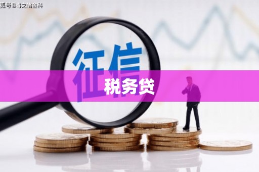 新店税务贷