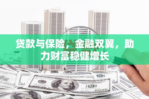 新店贷款与保险，金融双翼，助力财富稳健增长