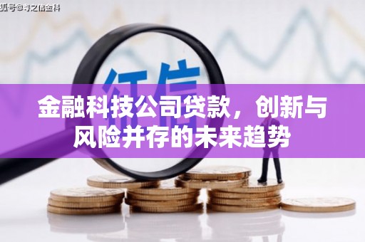 新店金融科技公司贷款，创新与风险并存的未来趋势