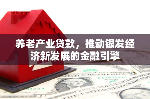 新店养老产业贷款，推动银发经济新发展的金融引擎