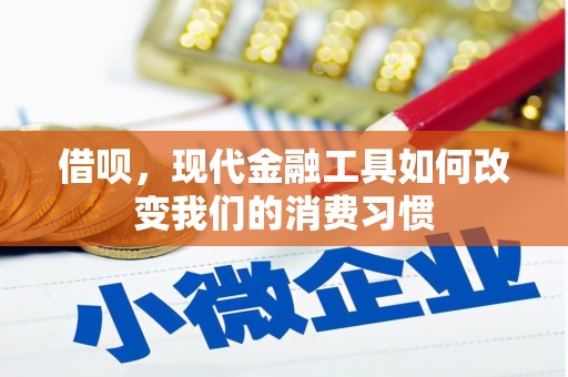 新店借呗，现代金融工具如何改变我们的消费习惯