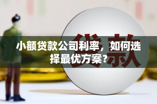 新店小额贷款公司利率，如何选择最优方案？