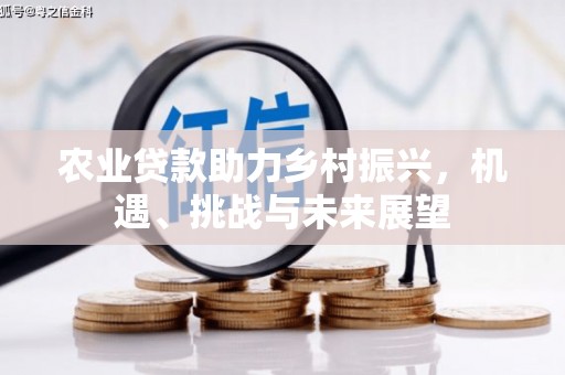 新店农业贷款助力乡村振兴，机遇、挑战与未来展望