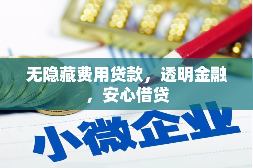 新店无隐藏费用贷款，透明金融，安心借贷