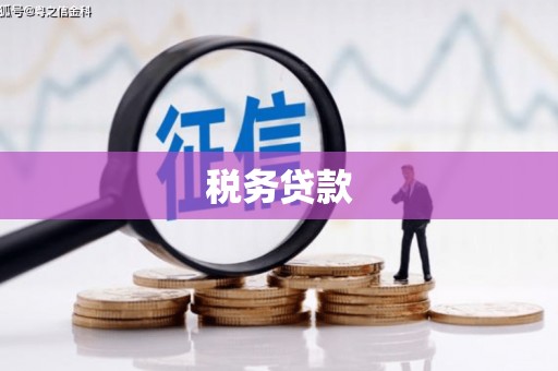 新店税务贷款