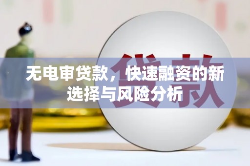 新店无电审贷款，快速融资的新选择与风险分析