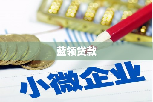 新店蓝领贷款