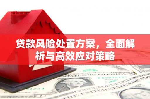 新店贷款风险处置方案，全面解析与高效应对策略